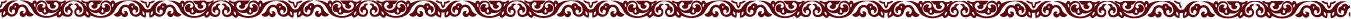 Search Bar Design